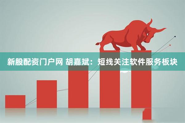 新股配资门户网 胡嘉斌：短线关注软件服务板块